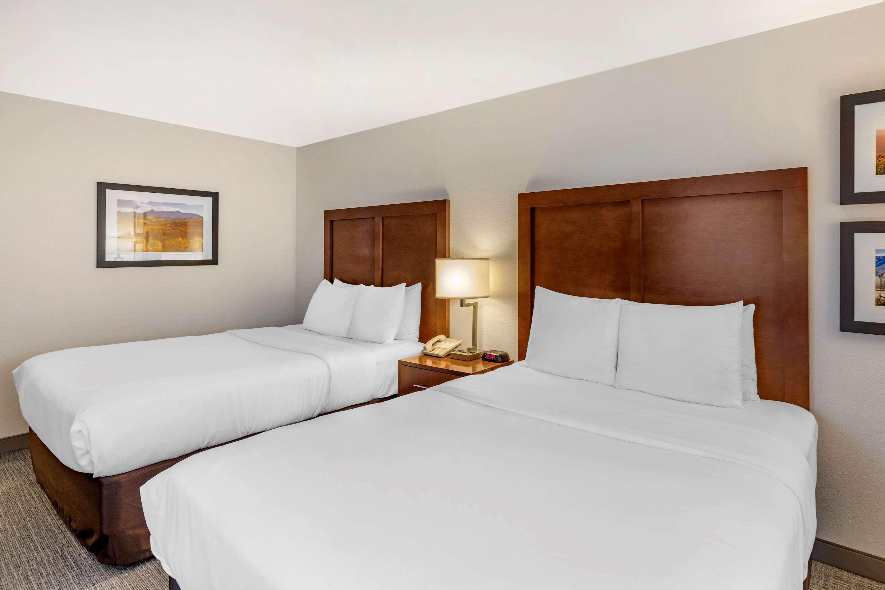 Comfort Inn & Suites Carbondale On The Roaring Fork Bagian luar foto