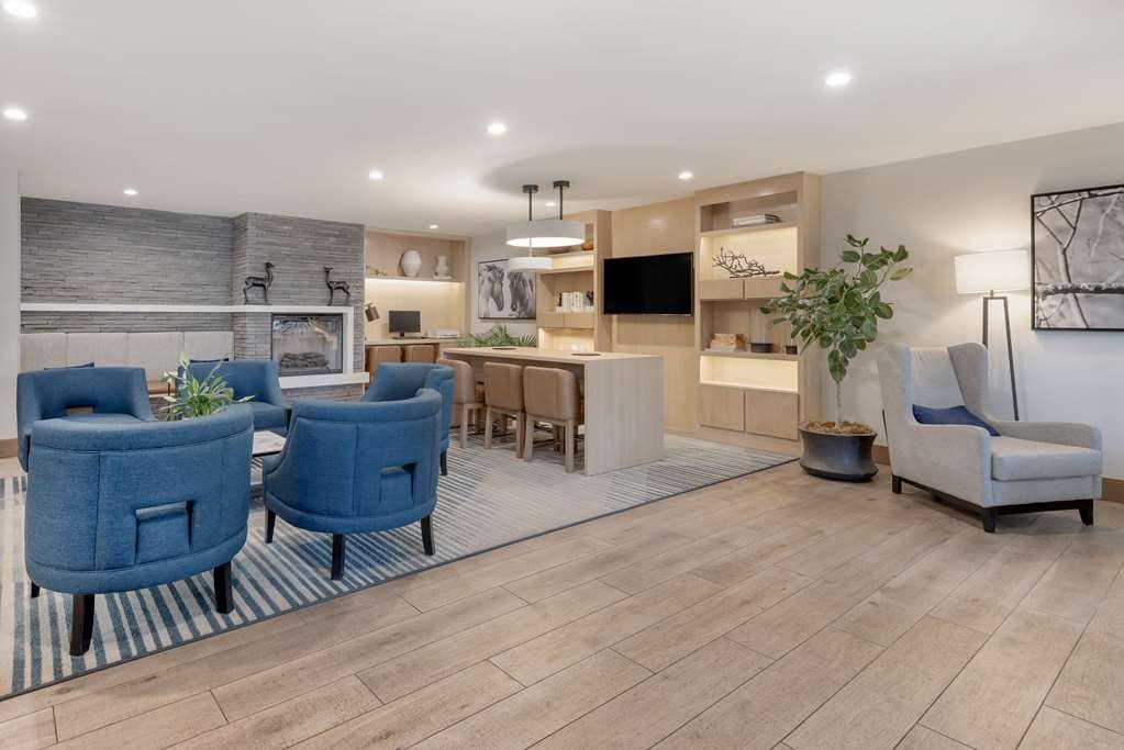 Comfort Inn & Suites Carbondale On The Roaring Fork Interior foto