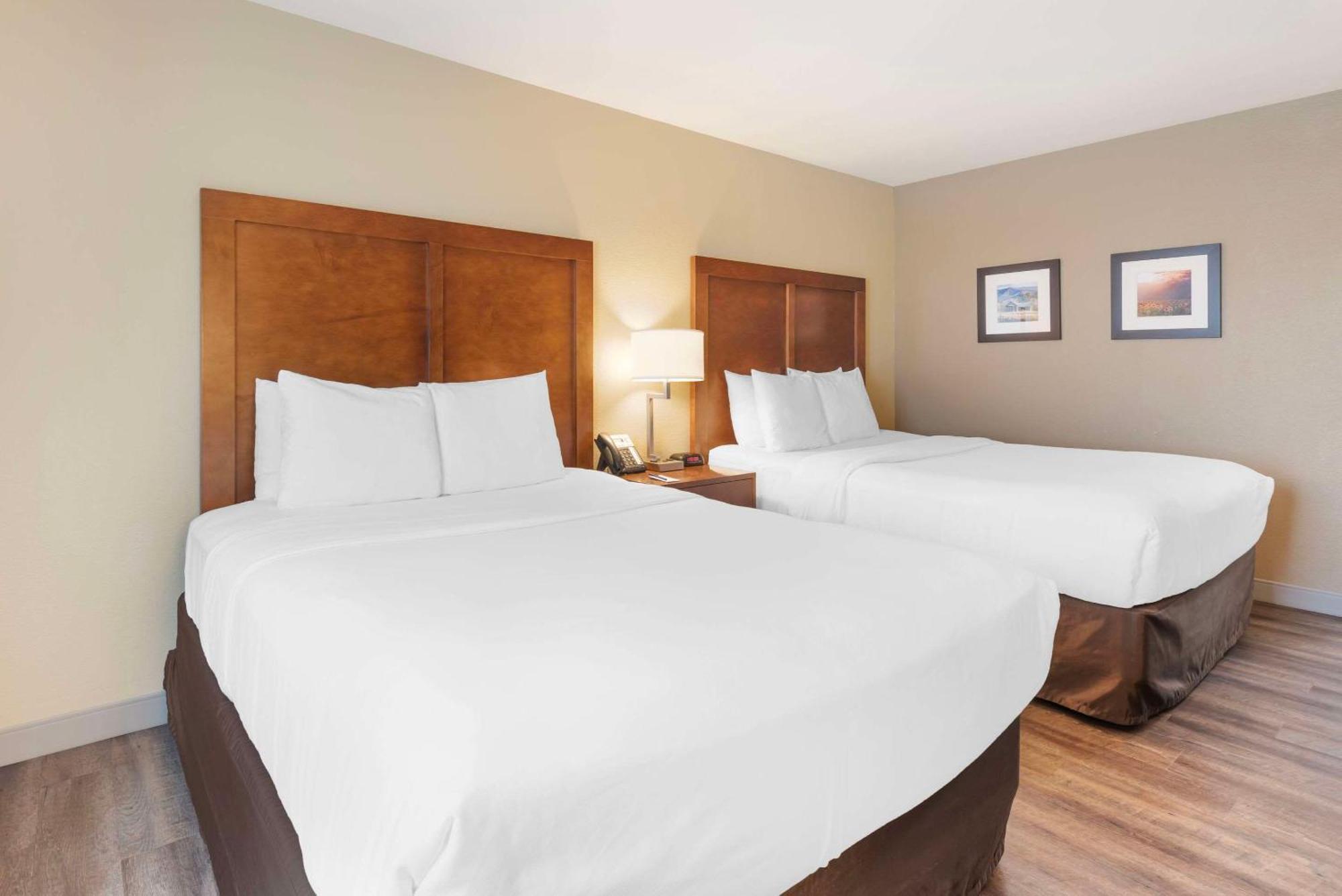 Comfort Inn & Suites Carbondale On The Roaring Fork Bagian luar foto