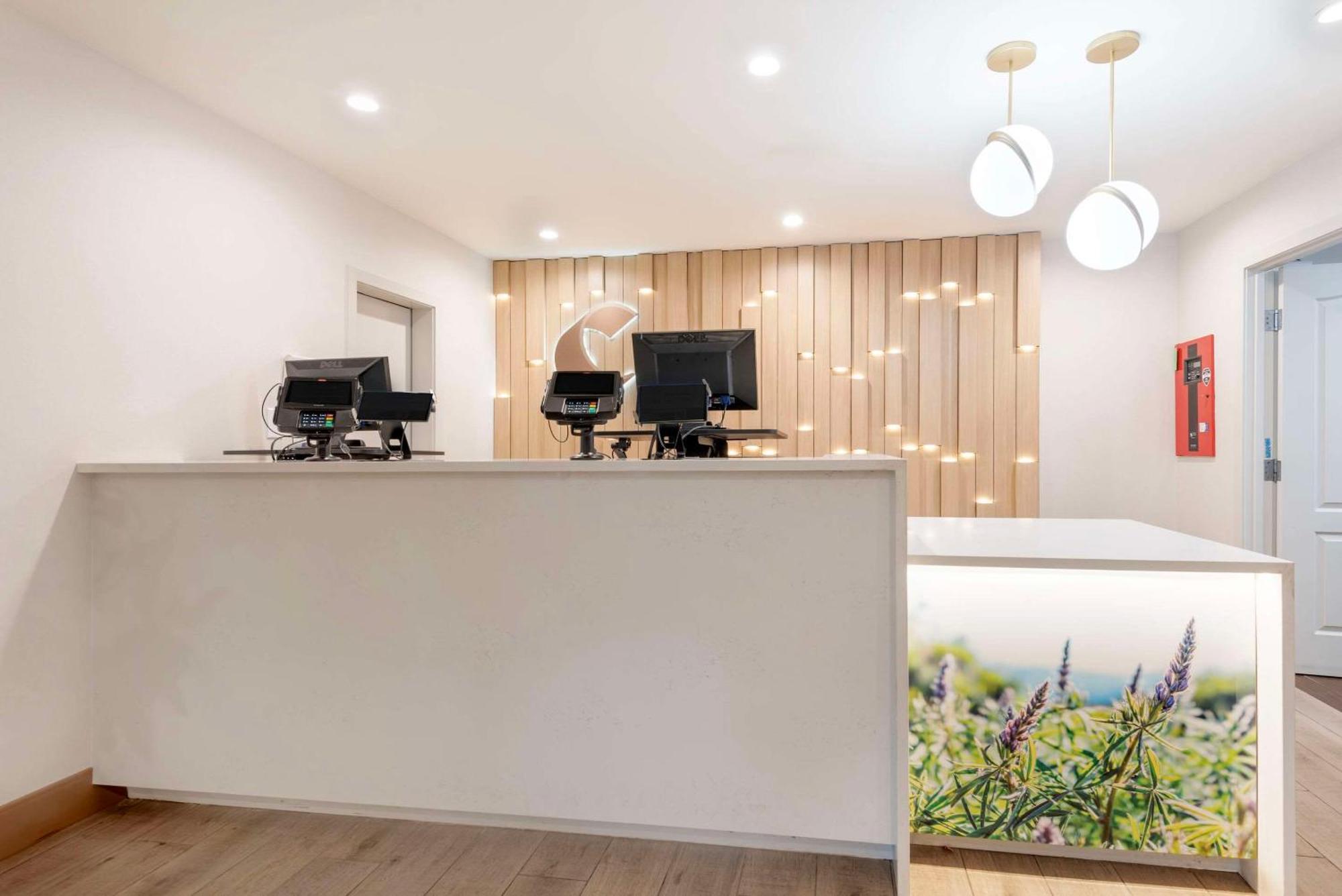 Comfort Inn & Suites Carbondale On The Roaring Fork Bagian luar foto